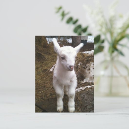 Carte postale Min Doeling (Debout devant)