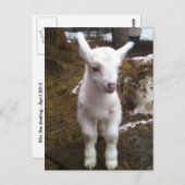 Carte postale Min Doeling (Devant / Derrière)