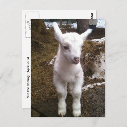 Carte postale Min Doeling (Devant / Derrière)