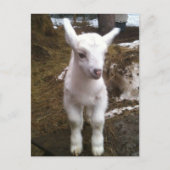 Carte postale Min Doeling (Devant)