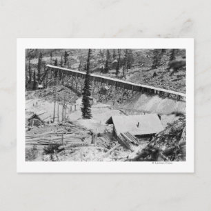 Carte Postale mine d'or Dewey à Thunder Mountain, Idaho