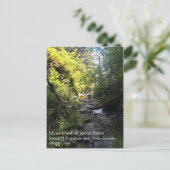 Carte Postale Miner Creek Samuel H. Boardman (Debout devant)