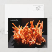 Carte Postale Minerais et gemmes # 164 (Devant / Derrière)