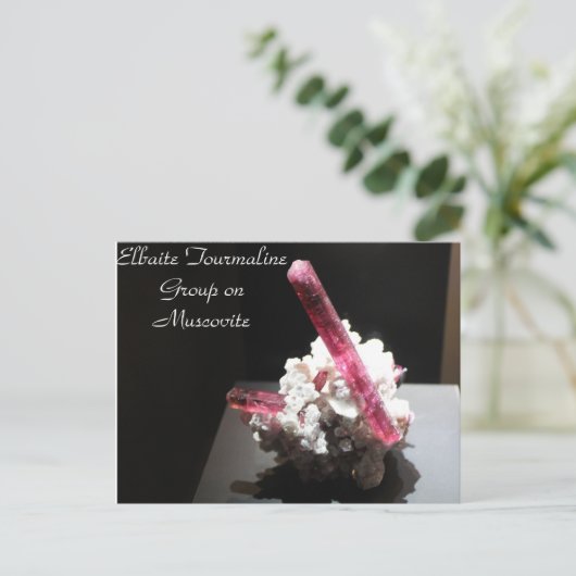 Carte Postale Minerais et gemmes # 99 (Debout devant)