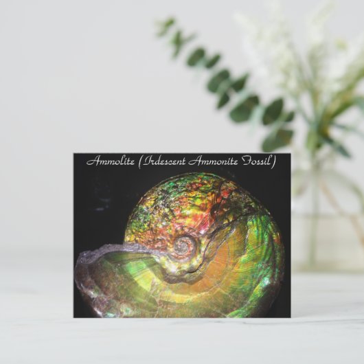 Carte Postale Minéraux et pierres gemmes # 127 (Debout devant)