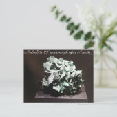 Carte Postale Minéraux et pierres précieuses n° 117 (Debout devant)