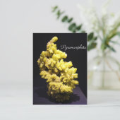 Carte Postale Minéraux et pierres précieuses n° 7 (Debout devant)