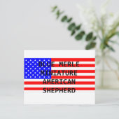 Carte Postale mini aussie nom sur flag blue merle (Debout devant)
