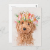 Carte Postale Mini Goldendoodle Portrait de la Couronne de la fl (Devant / Derrière)