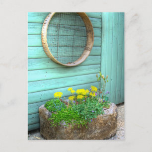 Carte Postale Mini jardin rustique