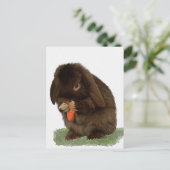 Carte Postale Mini Lapin Lop et carotte (Debout devant)