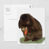 Carte Postale Mini Lapin Lop et carotte (Devant / Derrière)