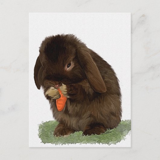 Carte Postale Mini Lapin Lop et carotte (Devant)