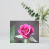 Carte Postale mini-rose rose foncé (Debout devant)