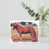 Carte Postale Miniature (Debout devant)