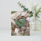 Carte Postale Miniature de Rockery (Debout devant)