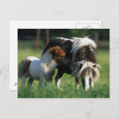 Carte Postale Miniature Mare & Foies 2 (Devant / Derrière)