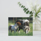 Carte Postale Miniature Mare & Foies 2 (Debout devant)