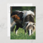 Carte Postale Miniature Mare & Foies 2 (Devant / Derrière)