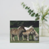 Carte Postale Miniature Mare & Foies 3 (Debout devant)