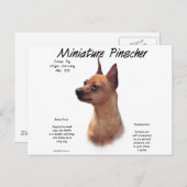 Carte Postale Miniature Pinscher (rouge) (Devant / Derrière)