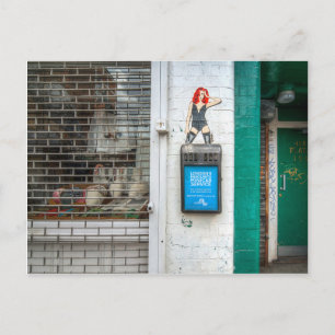 Carte Postale Minicab graffiti girl