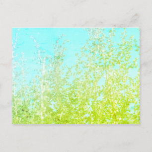 Carte postale minimaliste Saltbush Feuille Sky Fra