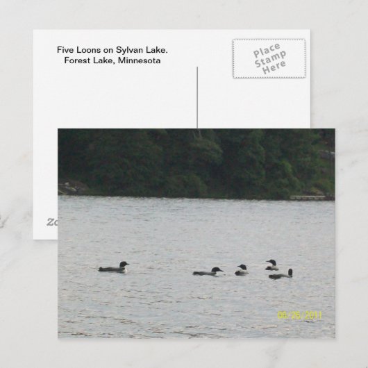 Carte postale Minnesota (Devant / Derrière)