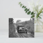 Carte Postale Minnesota Blueberry Pickers, 1937 (Debout devant)