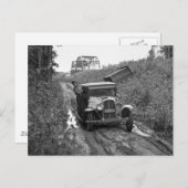 Carte Postale Minnesota Blueberry Pickers, 1937 (Devant / Derrière)