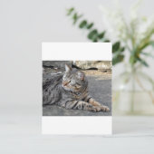 Carte Postale Minnie le Minx (Debout devant)