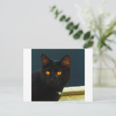 Carte Postale Minuit (Debout devant)