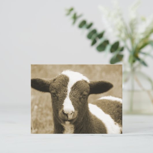 Carte Postale Minuscule (Debout devant)