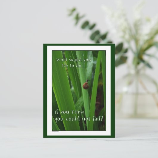 Carte Postale Minuscule escargot "Si vous ne pouviez pas échouer (Debout devant)