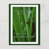 Carte Postale Minuscule escargot "Si vous ne pouviez pas échouer (Devant)