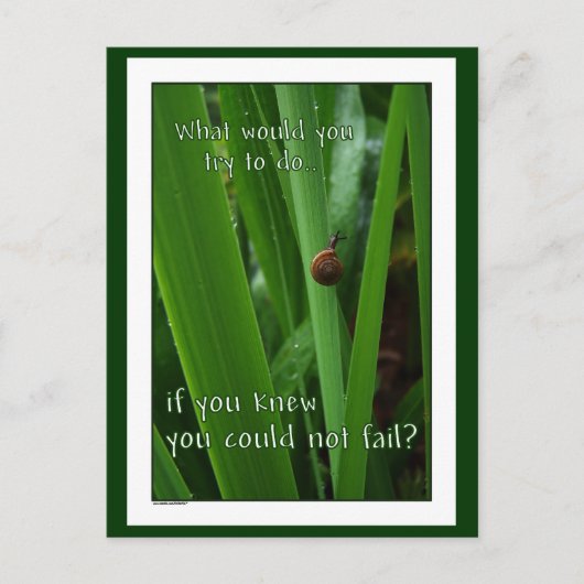Carte Postale Minuscule escargot "Si vous ne pouviez pas échouer (Devant)