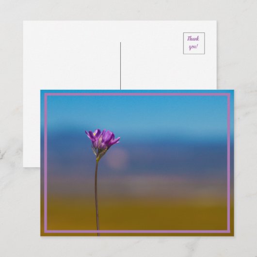 Carte Postale minuscule fleur (Devant / Derrière)