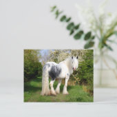 Carte postale "Mirabeau" (Debout devant)