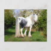 Carte postale "Mirabeau" (Devant)