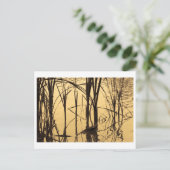 Carte Postale miroir est un menteur (Debout devant)