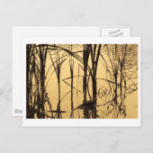 Carte Postale miroir est un menteur (Devant / Derrière)