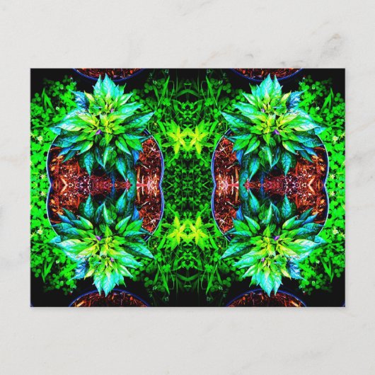 Carte Postale miroir pequin violet 4 (Devant)