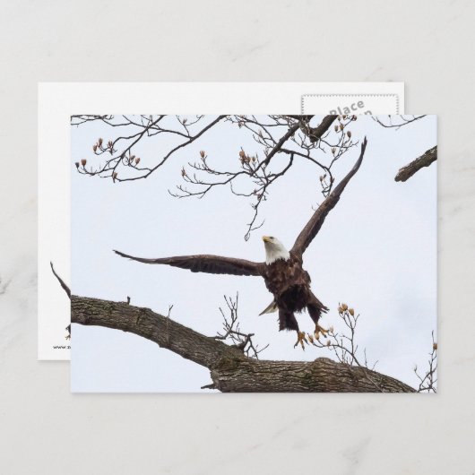 Carte Postale Mise en oeuvre (Devant / Derrière)