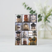 Carte postale Miska Pitcher (Debout devant)