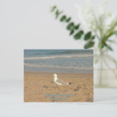 Carte postale Misquamicut Beach (Debout devant)