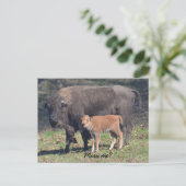 Carte postale Miss me (Debout devant)