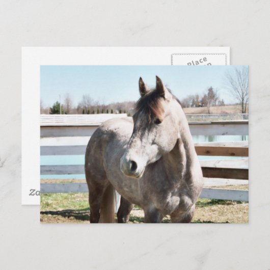 Carte Postale Miss Peppy Shu (Devant / Derrière)