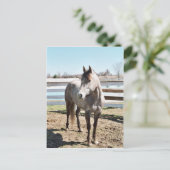 Carte Postale Miss Peppy Shu (Debout devant)