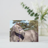 Carte postale Miss Peppy Shu (Debout devant)