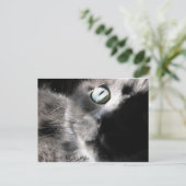 Carte Postale "Miss Precious" (Debout devant)